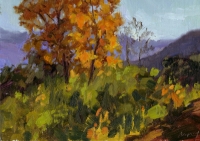 Santa Paula Valley