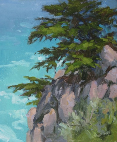 Big Sur, Monterey Cypress - Oil on Linen - 12x10